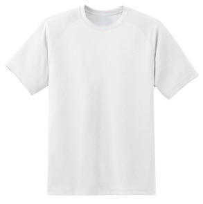 Pro-Tek short sleeve moisture management shirt